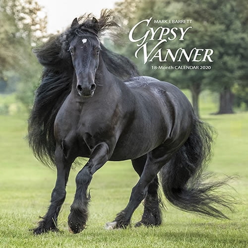 Willow Creek Press 2020 Gypsy Vanner Horse Wall Calendar