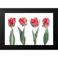 thumbnail image 2 of Frank, Assaf 14x11 Black Modern Framed Museum Art Print Titled - Rococo Tulips, 2 of 5
