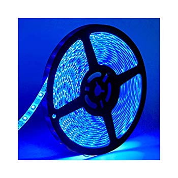 Water-Resistance IP65, 12V Waterproof Flexible LED Strip Light, 16.4ft/5m Cuttable LED Light Strips, 300 Units 3528 LEDs Lighting String, LED Tape(Blue) Power Adapter not Included