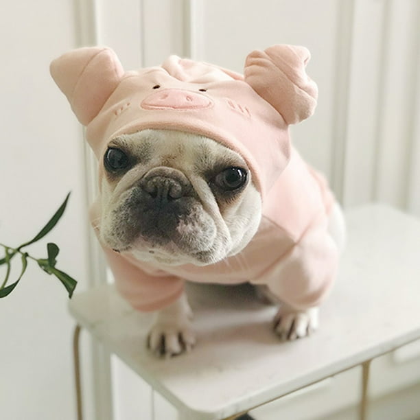 Dog piglet costume hotsell