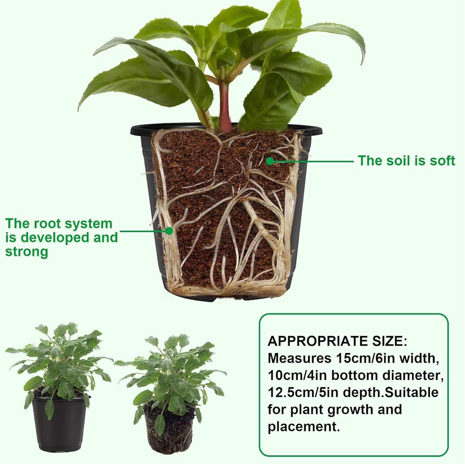 GoXteam 100 Pack Nursery Pots, 4 Inch Black Plants Flower Pots Durable Plastic Planters Indoor Modern Decorative Seed Container Pots for House Plants, Succulent, Flower