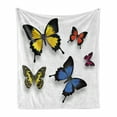 thumbnail image 1 of Butterfly Soft Flannel Fleece Blanket, Various Colorful Butterflies Pattern and Moths with Grace of Nature Themed Wings, Cozy Plush for Indoor and Outdoor Use, 50" x 70", Multicolor, by Ambesonne, 1 of 6