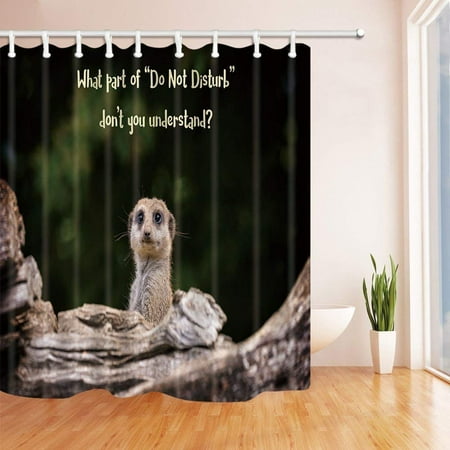 Bpbop Safari Wil Animals Suricatta Funny Meerkat Meme On Wood