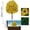 Yellow, variant on Clearance | Red Artificial Flowers with Ground Stake for Outdoor Garden Decoration, UV Resistant Fake Floral for Patio Porch Decor and Everyday Use