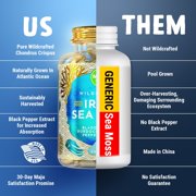 Wild Sea Moss, Raw Dried — MAJU Chondrus Crispus Whole Leaf