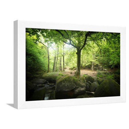 Huelgoat Forest Bretagne Framed Print Wall Art By Philippe Manguin