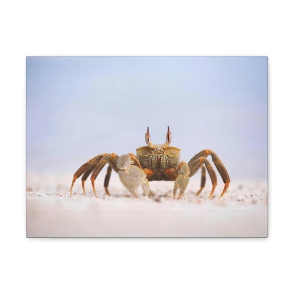 Majestic Crab Art Majestic Crab Print Animal Wall Art Wildlife Canvas Prints Wall Art Ready to Hang Unframed