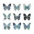 thumbnail image 2 of Bosco, Julia 15x15 White Modern Wood Framed Museum Art Print Titled - Butterfly Study in Blue II, 2 of 4