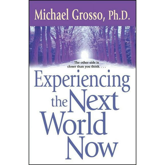 Experiencing the Next World Now, (Paperback)