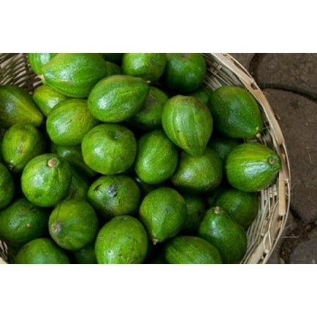 Benin Ouidah Produce Market Avocados Canvas Art - Cindy Miller Hopkins DanitaDelimont (34 x 23)