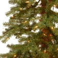 thumbnail image 2 of National Tree Company Cèdre de Hickory Arbre de Noël Pré-Éclairé de 3 Pieds, 2 of 3