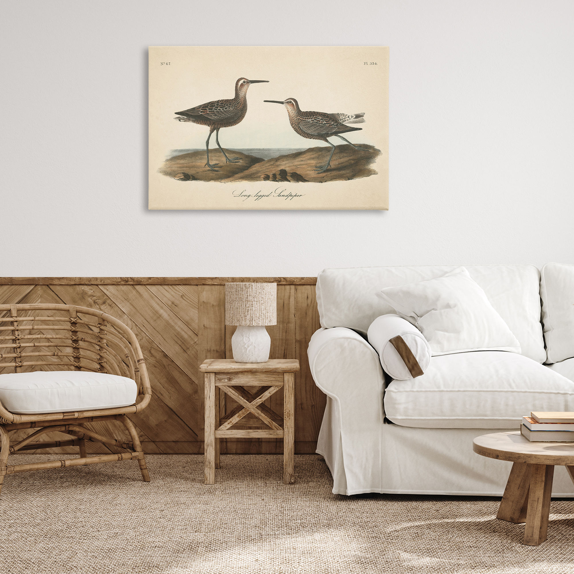 Stupell Industries Long Legged Sandpiper Animals & Insects Painting Gallery Wrapped Canvas Art Print Wall Art, 36 x 24