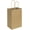 Brown, variant on bagmad 50 Pack 5.25x3.25x8 Inch Small Brown Paper Gift Bags with Handles Bulk, Kraft Paper Bags for Party Favors Grocery Retail Shopping Wedding Craft Cub Sacks (Purple)