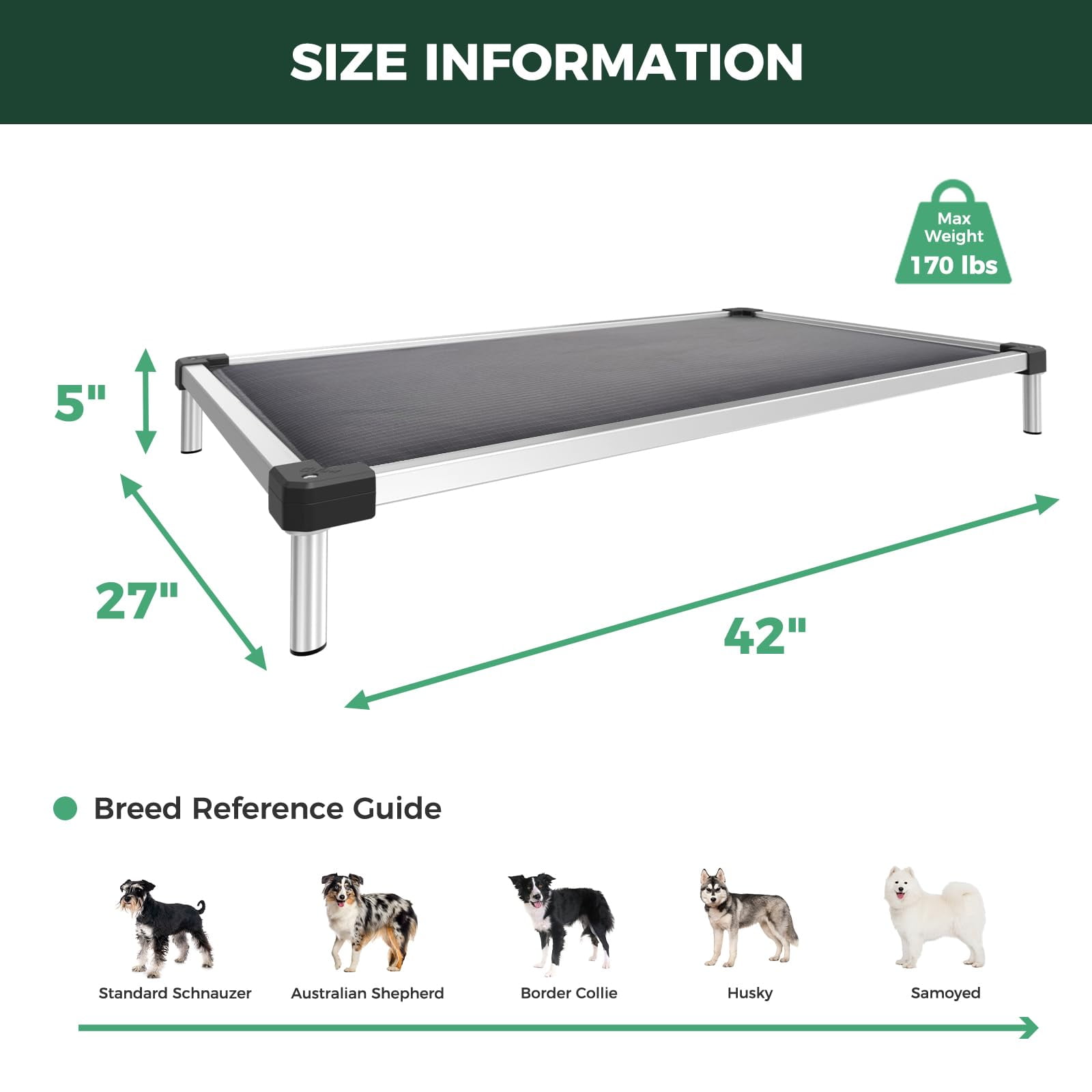 FXW TitanNest Chew-Proof Elevated Dog Bed, Raised Cot for Indoor/Outdoor/Camping Use, Durable & Washable Padded Pet Bed for Medium Dogs, 42.0" L x 27.0" W x 5.0" H, Gray