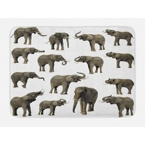 Elephant Bath Mat, Group of Elephants Tusk Ear Large Wild Life Jungle