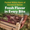 thumbnail image 5 of Del Monte Fresh Cut Sliced Beets Canned Vegetables 8.75 oz Pull Top Cans 12 Pack, 5 of 8