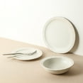 thumbnail image 6 of Stone Lain Oasis 4-Piece Dinner Plate Set Stoneware, White, 6 of 6