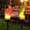 2Pcs Solar Powered Parrot Under $5 a1, variant on Fufafayo Solar Parrot Garden Light, Solar Powered LED Resin Decorative Light, Outdoor Landscape Lighting for Yard Pathway Patio, Waterproof Inserting Ground Light for Lawn Garden Decor