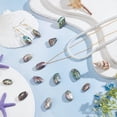 thumbnail image 5 of 1 Strand 15pcs Abalone Shell Charms Natural Abalone Shell Beads Irregular Paua Shell Beads Loose Beads for Bracelet Earrings DIY Jewelry Making 15inch, 5 of 6