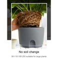 thumbnail image 6 of Plastic Self Watering Pots, Large Clear Plastic Automatic-Watering Plant Pot,Watering Planter with Drainage,Clear African Violet Pots for Indoor Plants, Wick Rope, Windowsill Gardens, Herb, Orchid, 6 of 10