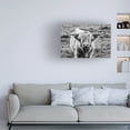 thumbnail image 3 of Nathan Larson 'Highland Cow Staring Contest' Canvas Art, 3 of 4