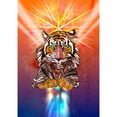 thumbnail image 3 of Roberts, Karin 11x14 Black Modern Framed Museum Art Print Titled - Cosmic Tiger, 3 of 5
