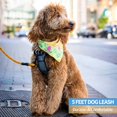 thumbnail image 5 of Laisse Forte pour Chien avec Poignée Rembourrée Confortable et Fils-Orange Très Réfléchissants, 5 of 5