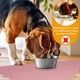 thumbnail image 4 of Estera de silicona para alimentación de mascotas, mantel individual para perros y gatos, esteras impermeables antideslizantes para cuencos para mascotas, 4 of 6