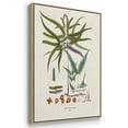 thumbnail image 2 of Botanical Society Ferns VI - Framed Premium Gallery Wrapped Canvas L Frame 3 Piece Set - Ready to Hang, 2 of 4