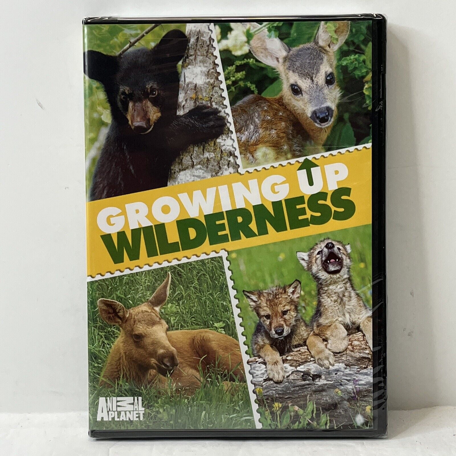 Animal (Video) Growing Up Wilderness (DVD)