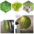 thumbnail image 4 of Decoración de pared de musgo preservado Musgo preservado real No requiere mantenimiento Musgo preservado naturalmente para festivales de fiesta en la pared del hogar, 4 of 8