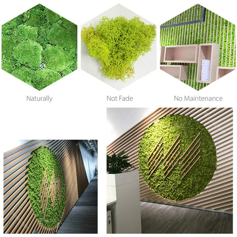 Green Moss for Craft, Artificial Moss for Potted Plants, Preserved Moss  Decorative with Centerpieces for Table Wedding Party - Forest Moss Art of  on OnBuy