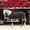 Black(BLK), variant on Equinavia Vind Lightweight Stable Blanket for Horses | No Fill Sheet with Wither Relief