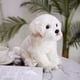 thumbnail image 4 of Bichon Frise Puppy Peluche de peluche para niños, perro de peluche, mascotas de simulación lindas, muñecas de bebé esponjosas, regalos de cumpleaños, envío directo, 4 of 5