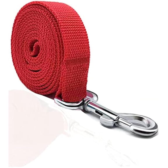 Eryueer 4FT/5FT/6FT Strong Dog Leash, Nylon Dog Leashes for Small Medium Large Dogs (1 in x 6 ft, Red)