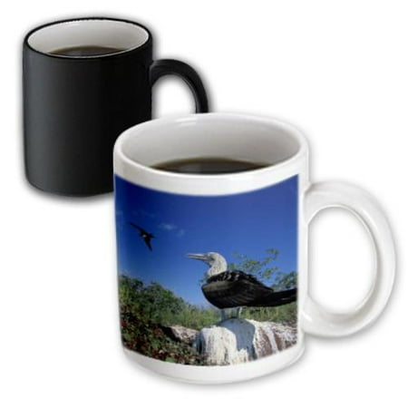 3dRose Sunrise and reflection, Glacier National Park, Montana - US27 AJE0104 - Adam Jones, Magic Transforming Mug, 11oz
