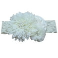 thumbnail image 1 of Diadema de encaje de perlas de lujo, elástica, con rosas, accesorio cómodo para el cabello (beige), 1 of 6
