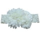 thumbnail image 1 of Diadema de encaje de perlas de lujo, elástica, con rosas, accesorio cómodo para el cabello (beige), 1 of 6