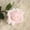 A, variant on Artificial Silk Roses Long Single Stem Artificial Roses for Home Decor Table Centerpiece Arrangement Valentine's Day Gift for Weddings and Home Decor