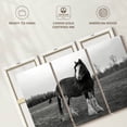 thumbnail image 6 of Elephant Stock Monochrome Clydesdale Horse Wall Art - Horizontal Multi Panel Canvas - Living Room Wall Decor - Animal Multi Panel - Gray And White Decor - 38" x 24", 6 of 8