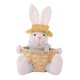 thumbnail image 4 of Cesta de conejo de Pascua, cesta de almacenamiento de de Pascua, cesta decorativa multifuncional, cestas de huevos de Pascua para decoración navideña Masculino, 4 of 8