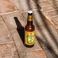 thumbnail image 3 of Cerveza Minerva San Cristobal 355 ml, 3 of 4