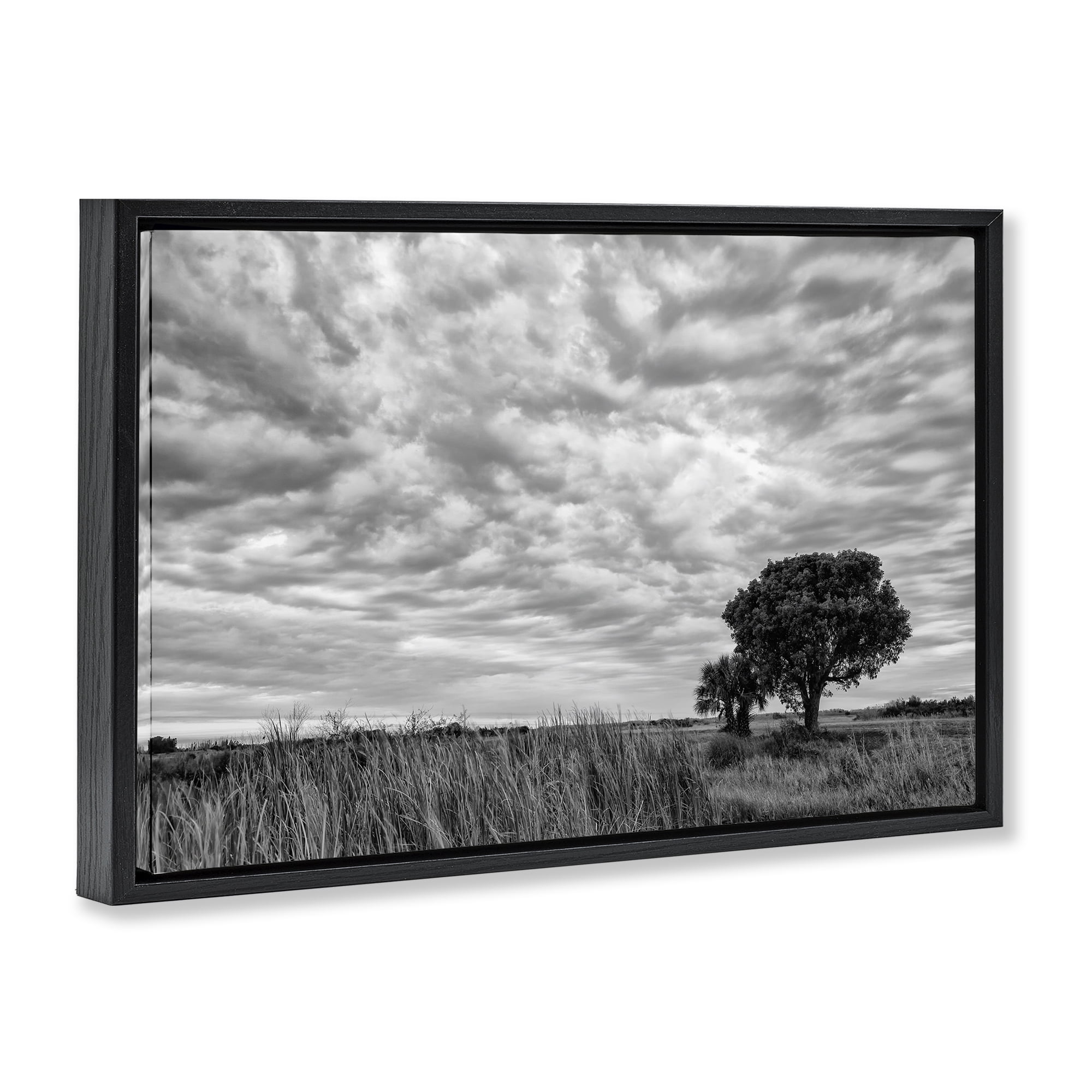 Stupell Industries Solitary Tree Beneath Clouds Black Framed Floater Canvas Wall Art, design by Jon Evan