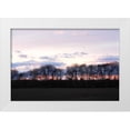 thumbnail image 3 of Alan Hausenflock 32x23 White Modern Wood Framed Wall Art Titled - Winter Sunset I, 3 of 5