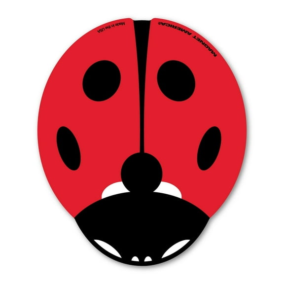 Ladybug Magnet