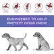 thumbnail image 3 of Collar antipulgas para perros Prevención de pulgas y garrapatas de 8 meses para, 3 of 8