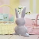 thumbnail image 5 of Juguetes de piscina, juguetes para bebés, juguetes para niños pequeños, almohada de conejo, almohada de conejito de Pascua, almohada de lana de cordero, juguetes para niños, almohadas de peluche, 5 of 6