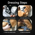 thumbnail image 3 of Legendog Dog Chest Harness No Pull Dog Harness Adjustable Dog Reflective Harnesses No-Choke Pet Vest Harness for Small Medium Large Dogs, 3 of 11