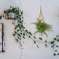 thumbnail image 3 of WEUVEB Macetero Colgante De Bambú Para Pared Con Estilo Vintage Y Estructura Resistente Para Plantas, 3 of 6