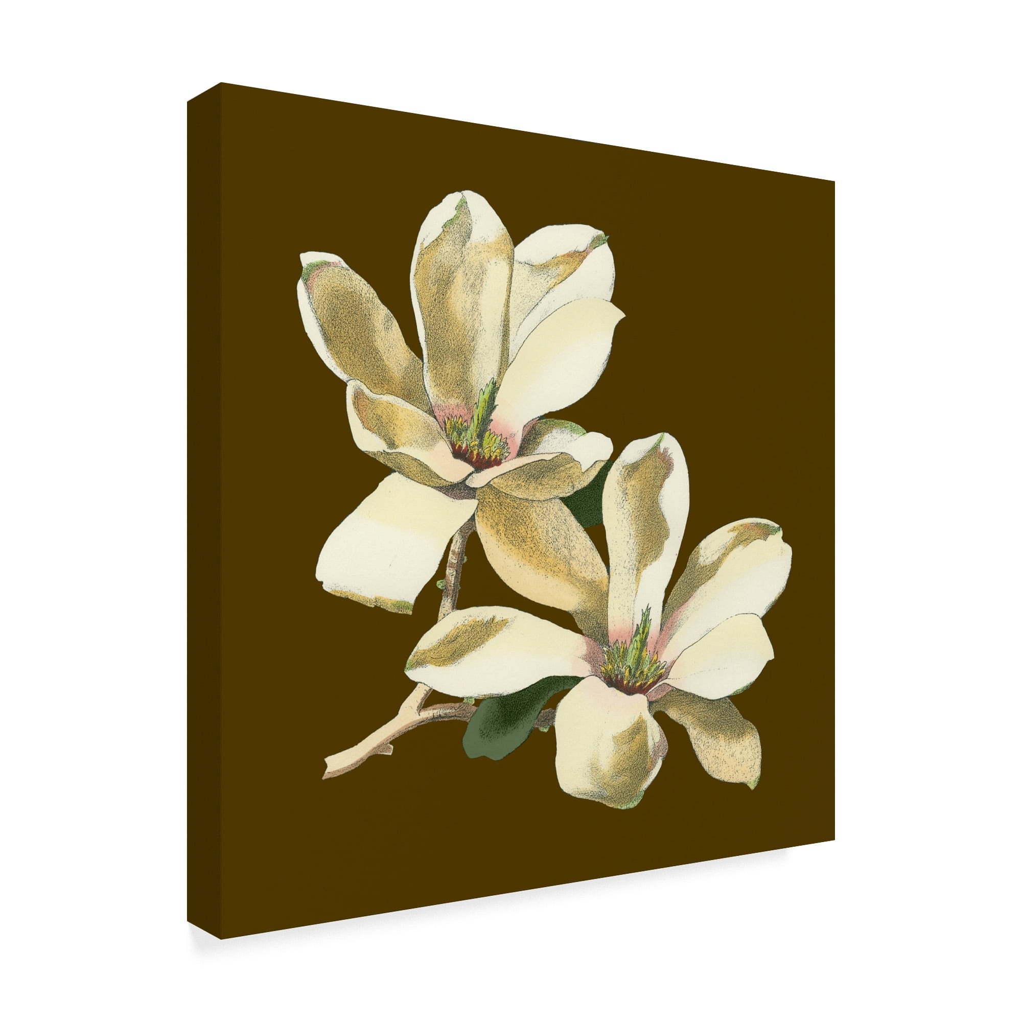 Trademark Fine Art 'Magnolia on Taupe II' Canvas Art by Unknown